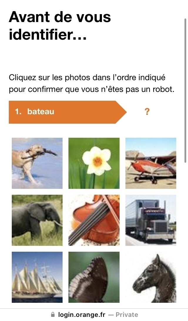 Screenshot from website login.orange.fr showing:  Avant de vous identifier… Cliquez sur les photos dans l’ordre indiqué pour confirmer que vous n’êtes pas un robot.  Follows by a grid of photos of a dog, a flower, a plane, an elephant and so on. 