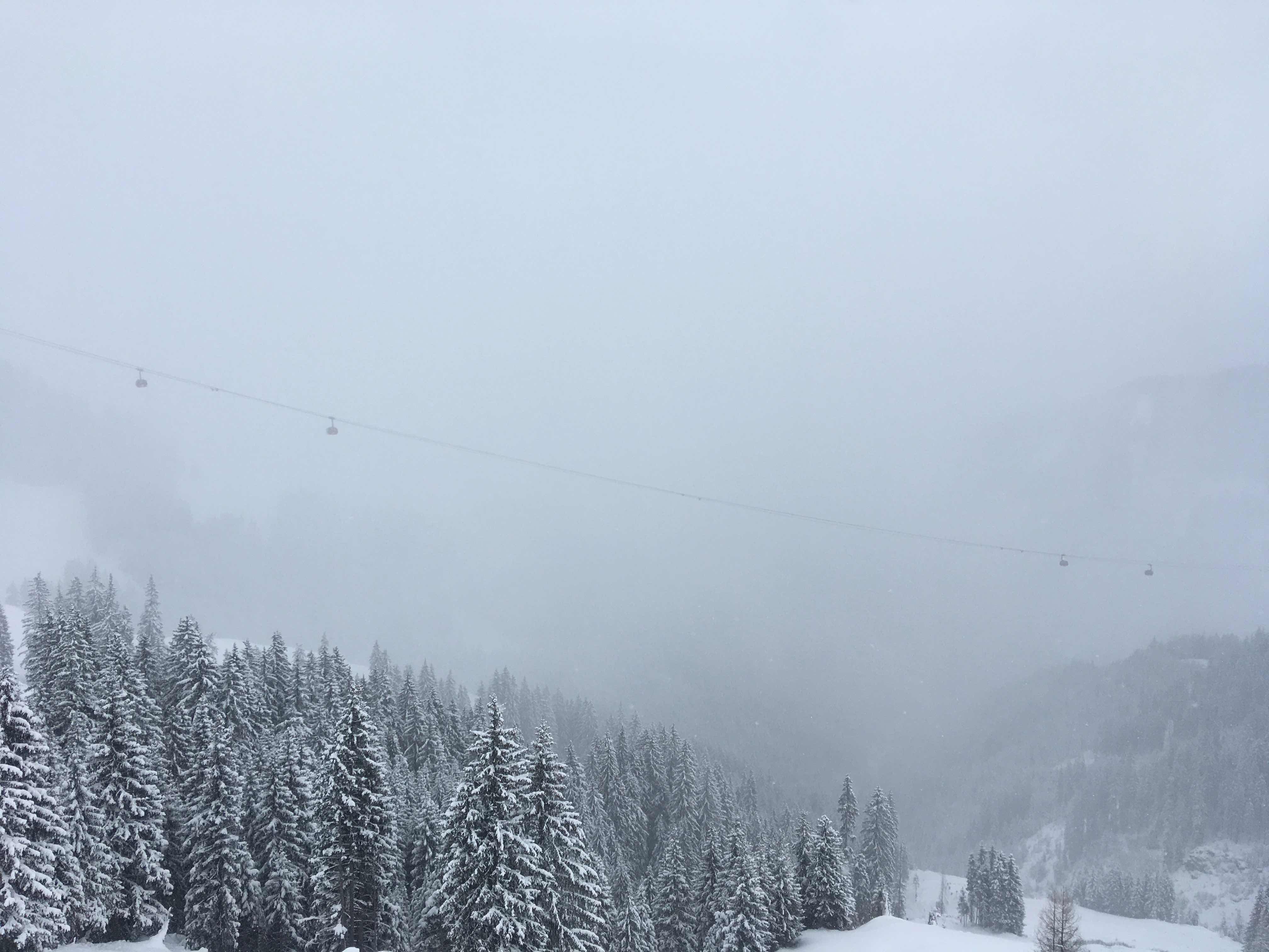 Distant view of skiing gondola fading in the clouds, with snow covered trees in foreground.