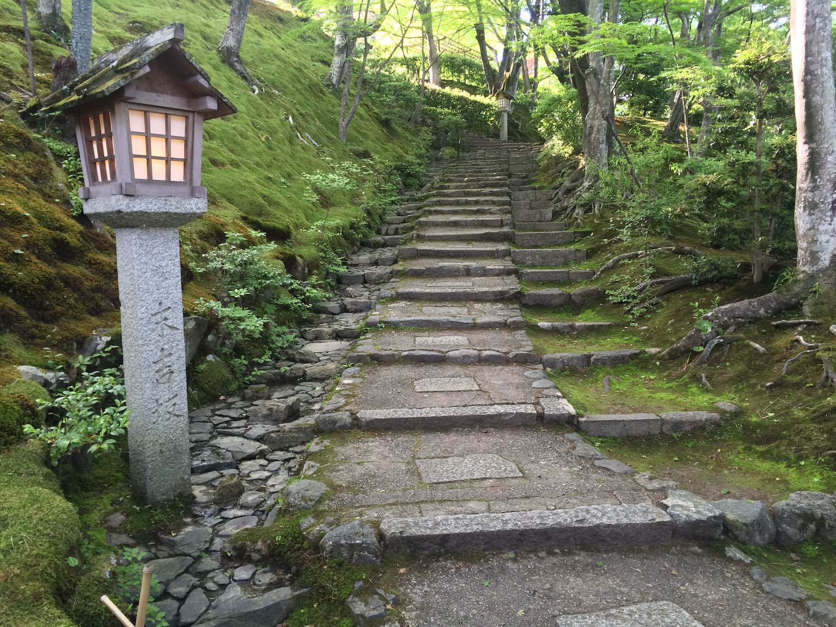 Photo of temple steps up a mossy hillside in Japan